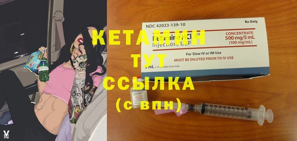 шишки Гусиноозёрск