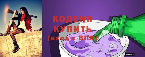 шишки Гусиноозёрск