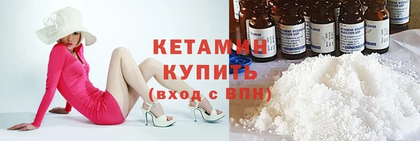 шишки Гусиноозёрск