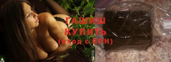 шишки Гусиноозёрск