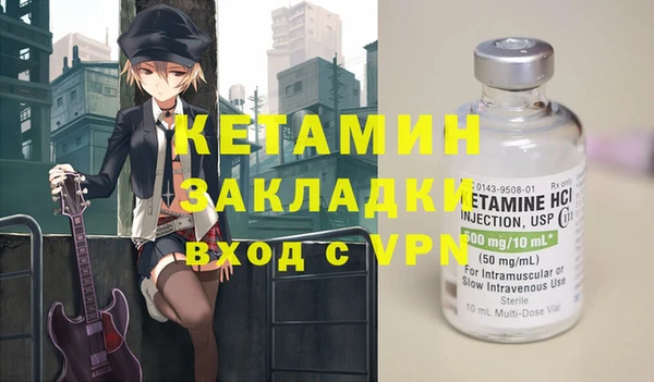 шишки Гусиноозёрск