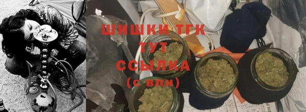 шишки Гусиноозёрск