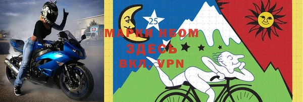 шишки Гусиноозёрск